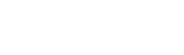 Sirius Dignitary Security Service